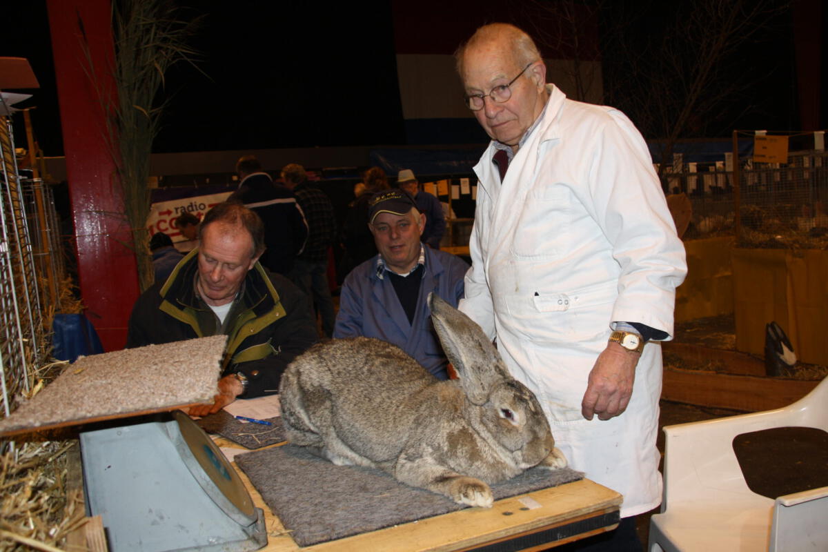 Dhr. W.C Kok keurt op de Noordshow in 2014 de Jeugshow